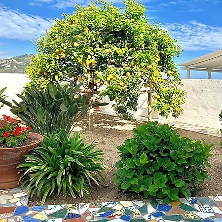 Egidio Sant'Angelo (Isola d'Ischia)