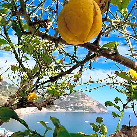 Egidio Sant'Angelo (Isola d'Ischia)